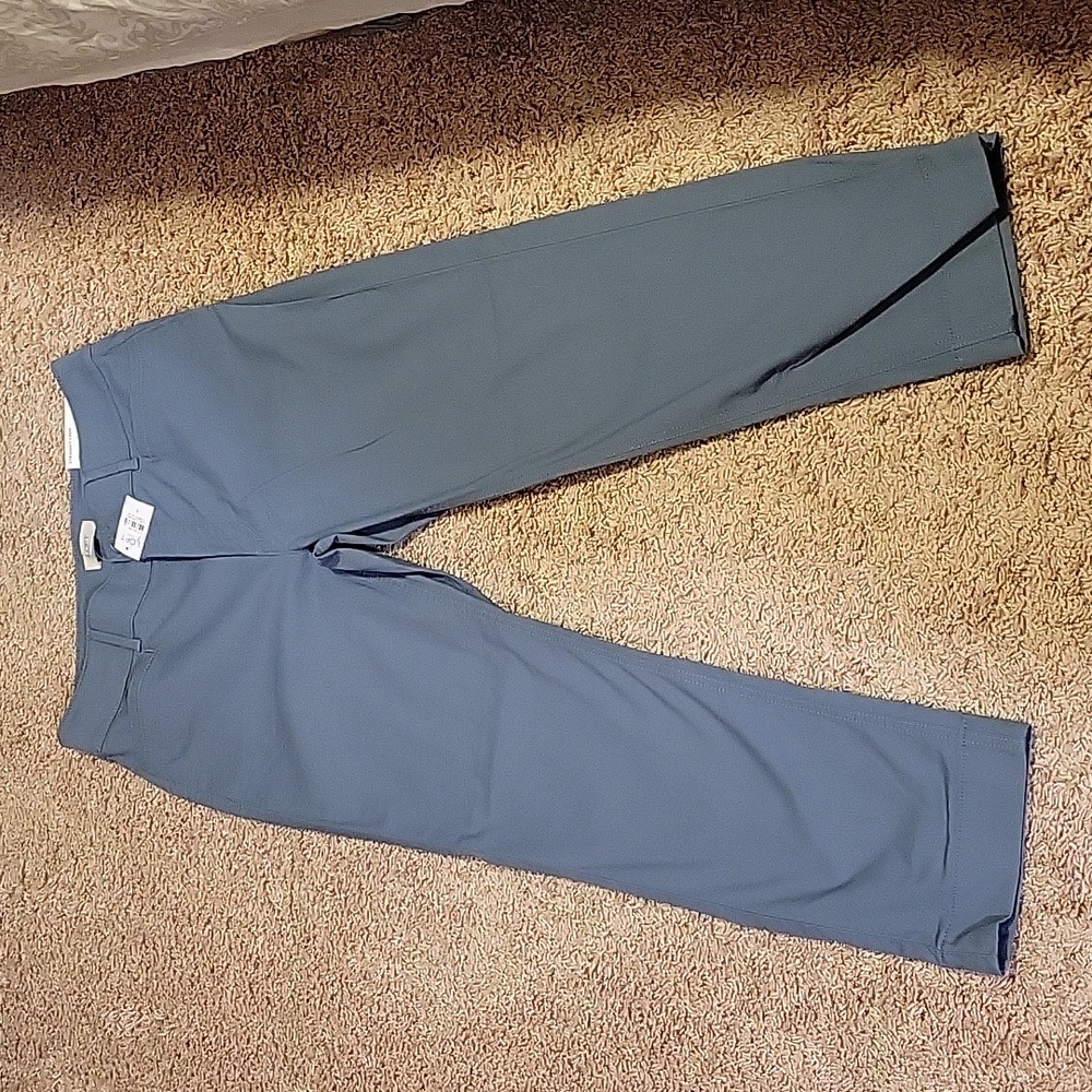 Loft straight crop pants- new with tags blueish/greyish/greenish color